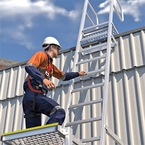 Rung Type Ladders 4