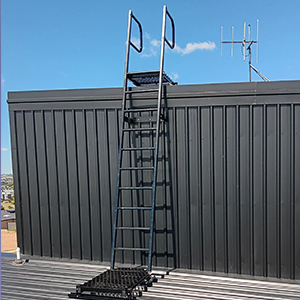 Rung Type Ladders 1